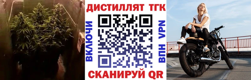 ТГК Wax  Купить где  Красноуфимск 